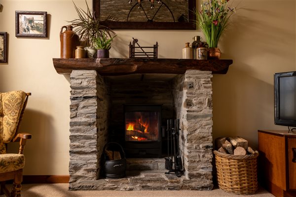 Cosy wood burner & free  logs